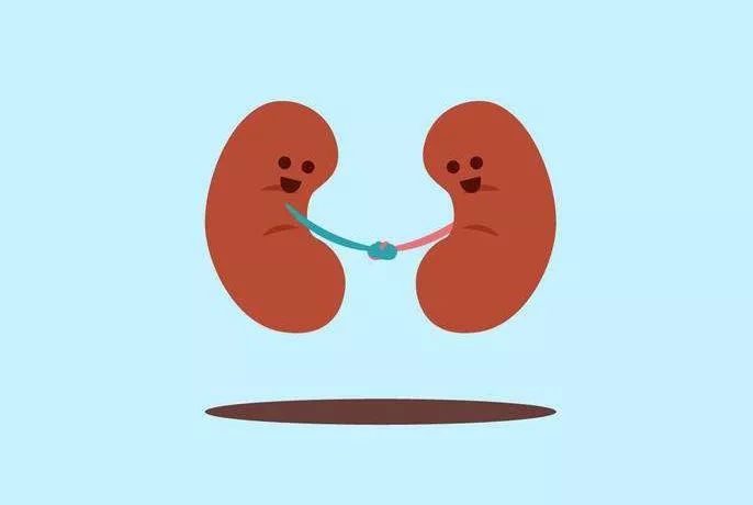 尿液泡泡多又不散怎么回事,尿液气泡多但尿蛋白不高