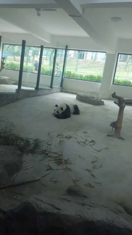 有山有海的威海,去有风的地方青岛威海