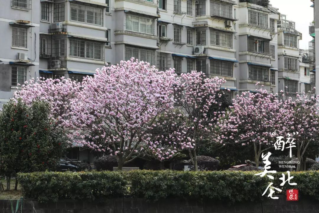 北仑清明游玩,下周北仑旅游景点