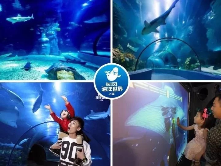 99元畅玩上海欢乐谷,99元畅玩川内30个景区