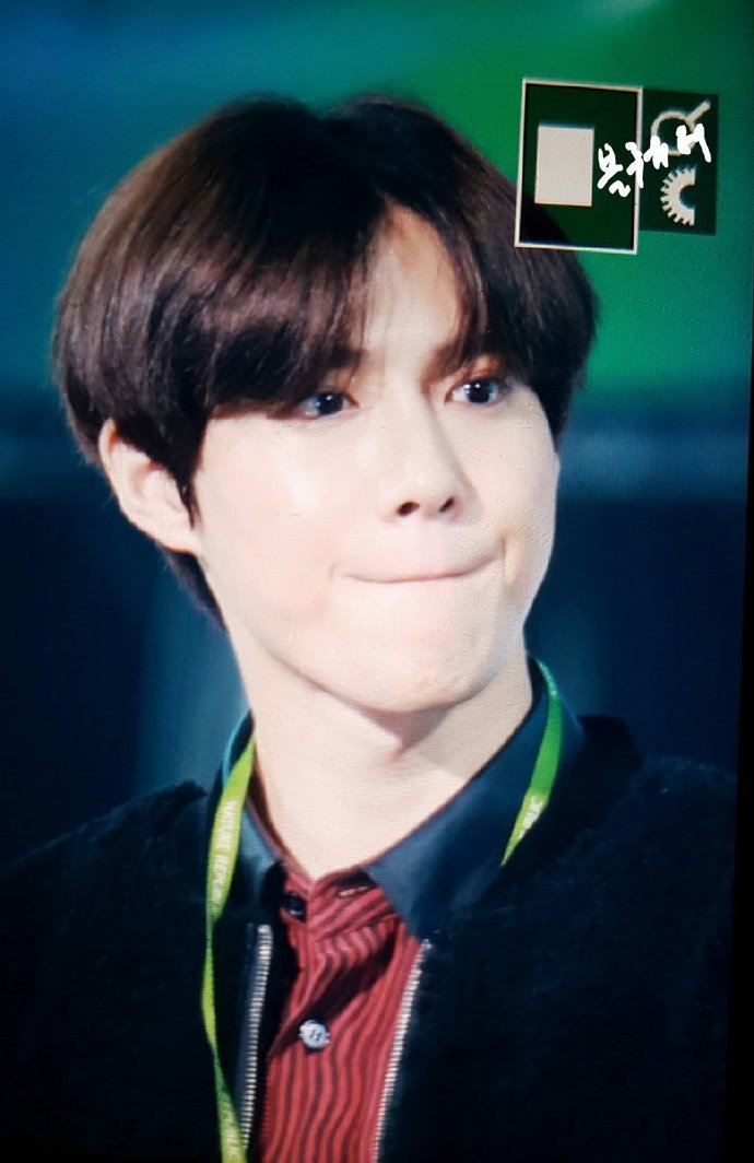 exo十一周年见面会咆哮朴灿烈,exo十周年视频灿烈剪辑