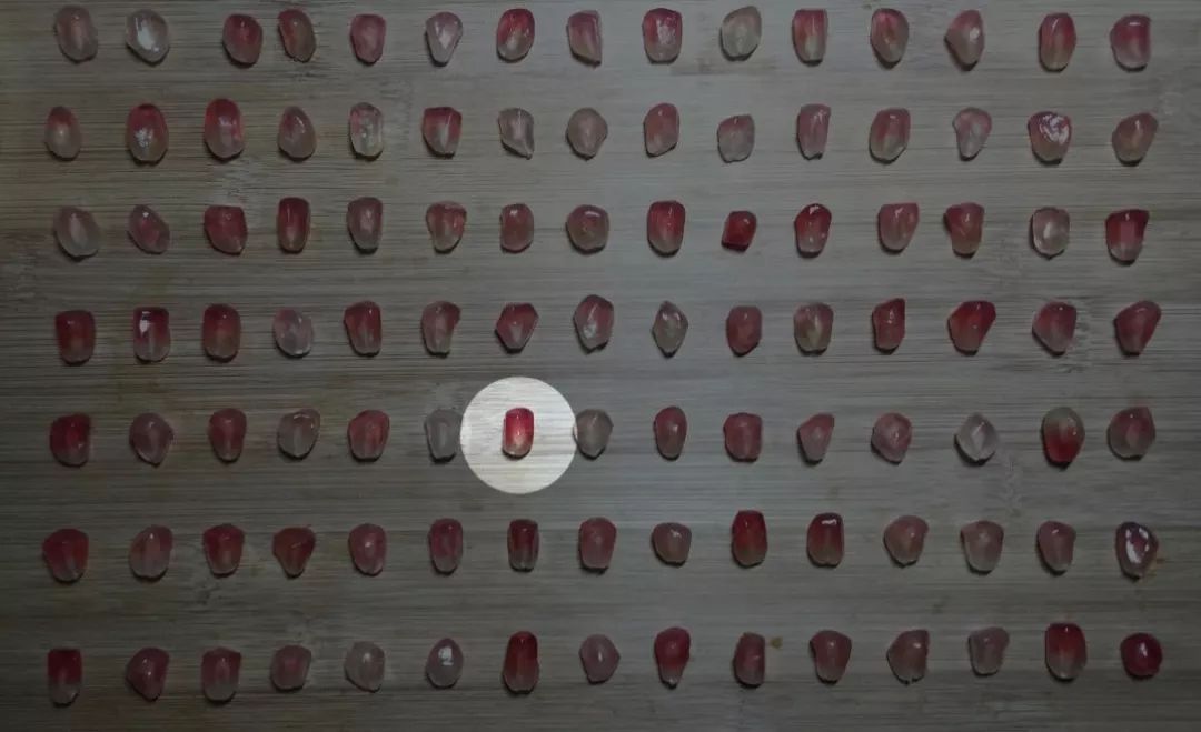 这大概是全世界最无聊的人了