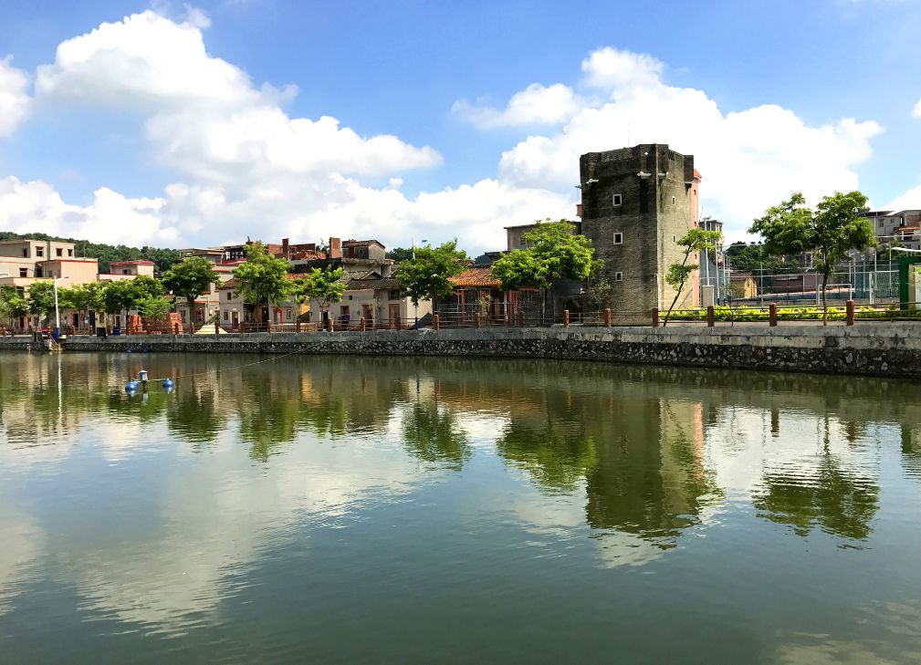 齐心换得满村芳！我区永宁街干群共建和谐美丽家园