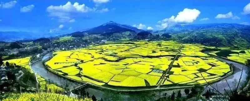 贵阳适合春季游玩赏花的好去处,贵阳春天最美的地方在哪里