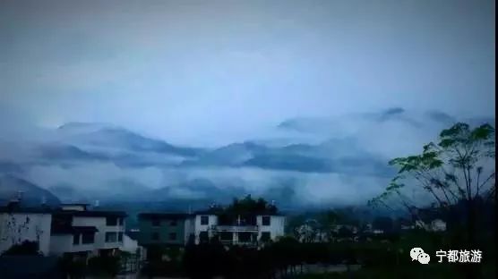 小布岩茶基地,广州小布岩茶