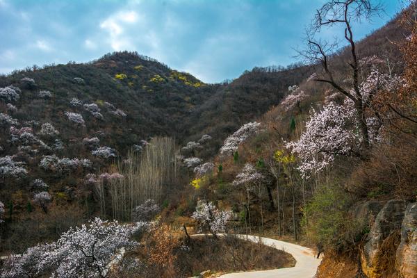 春游郑州这份赏花攻略请收好,郑州自驾踏青赏花好去处