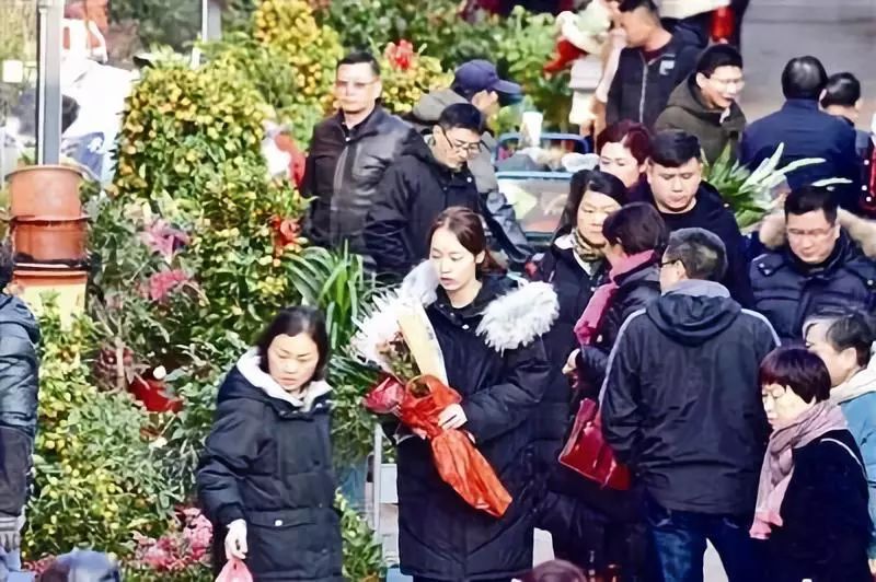 镇江春天一定要做的25件事，别辜负了大好*光春**！