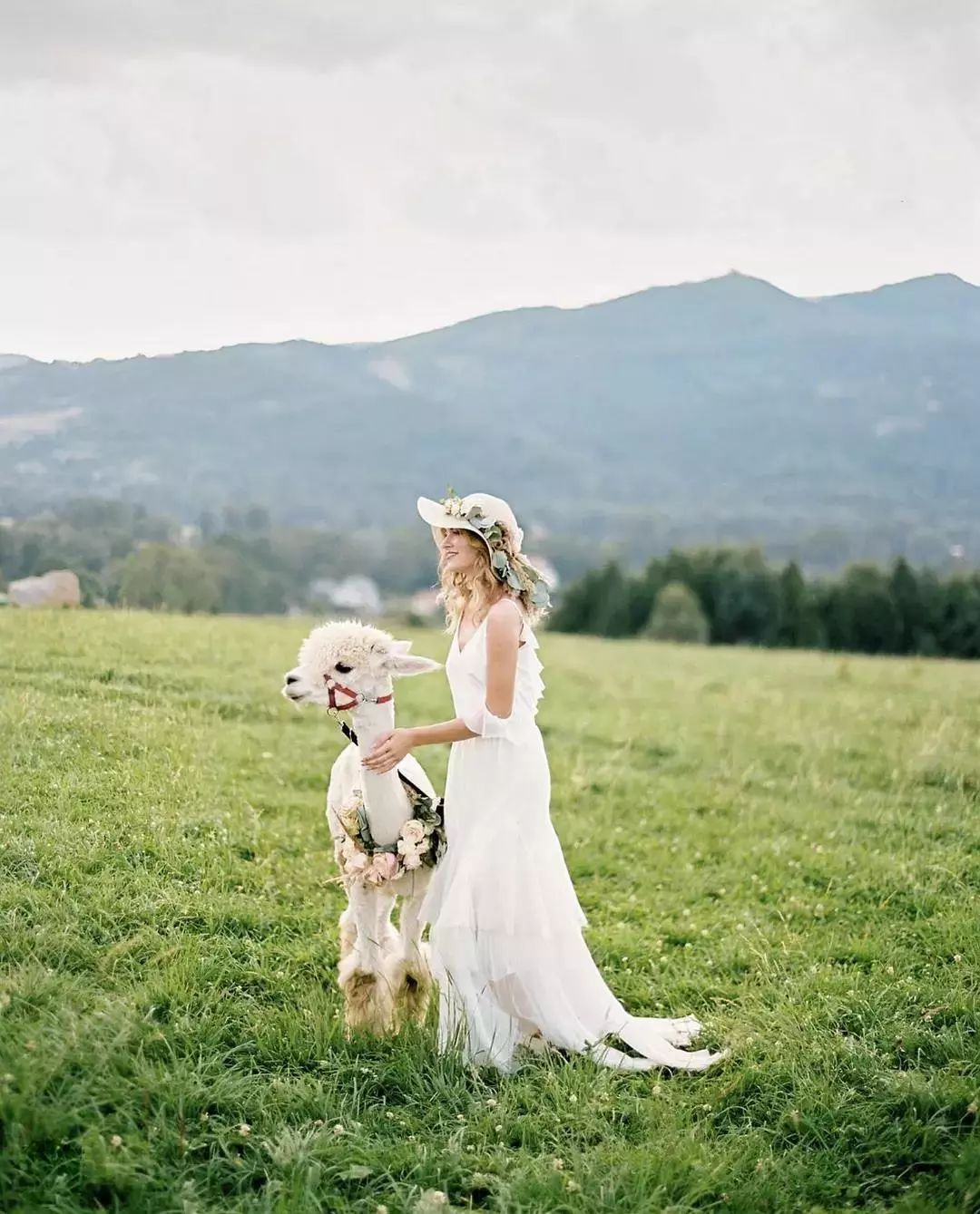 简单好看的婚纱画法,婚纱照五套风格穿搭推荐