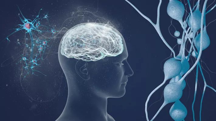 5年生存率翻番!这种全球范围内首次获批的电场抗癌黑科技,是脑部肿瘤治疗领域近10年来最大的突破丨奇点搜神记