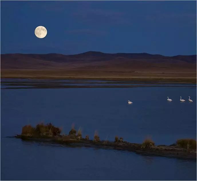 每日好诗词朗读,每日好诗