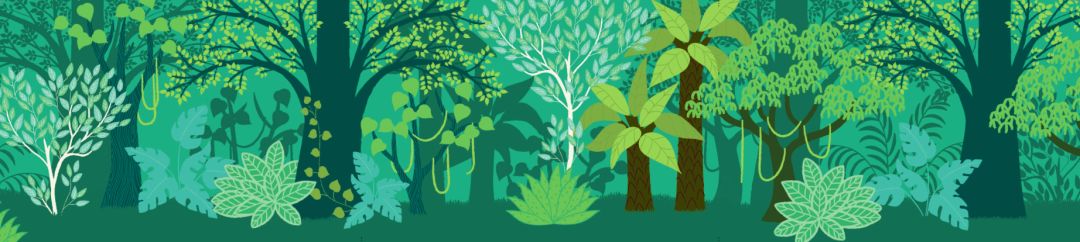 团|这套贴纸涂色书,我专程从中国带到了英国!