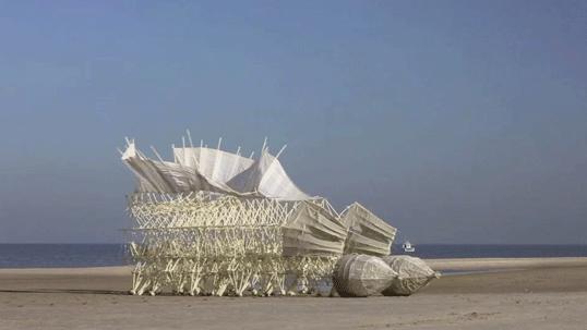 海边，他养了一群吃风的怪兽