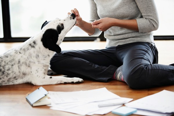 小朋友拉屎有小白虫是怎么回事,小孩大便里有细小的虫是什么原因