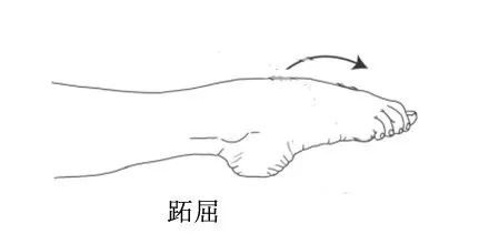 腰椎压缩性骨折打骨水泥多久康复,单纯胸腰椎压缩性骨折康复训练