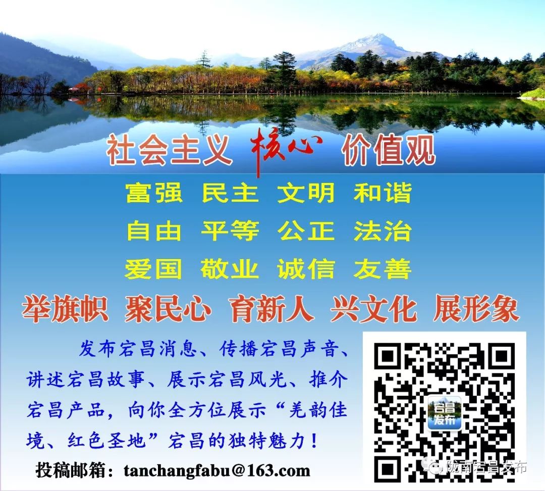 【壮丽70年奋斗新时代】巾帼不让须眉谱写壮丽凯歌——记宕昌县妇幼保健院院长张红巧