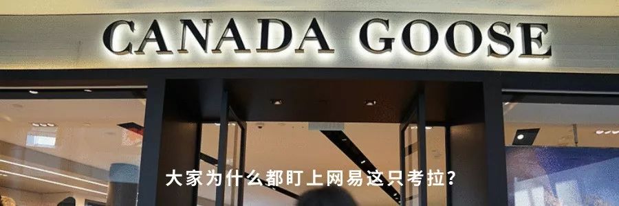 朱骏投资乐视,朱骏投资人