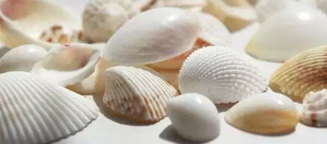 用了几天火山泥为什么还毛孔粗大,怎样用韩国进口火山泥洗脸