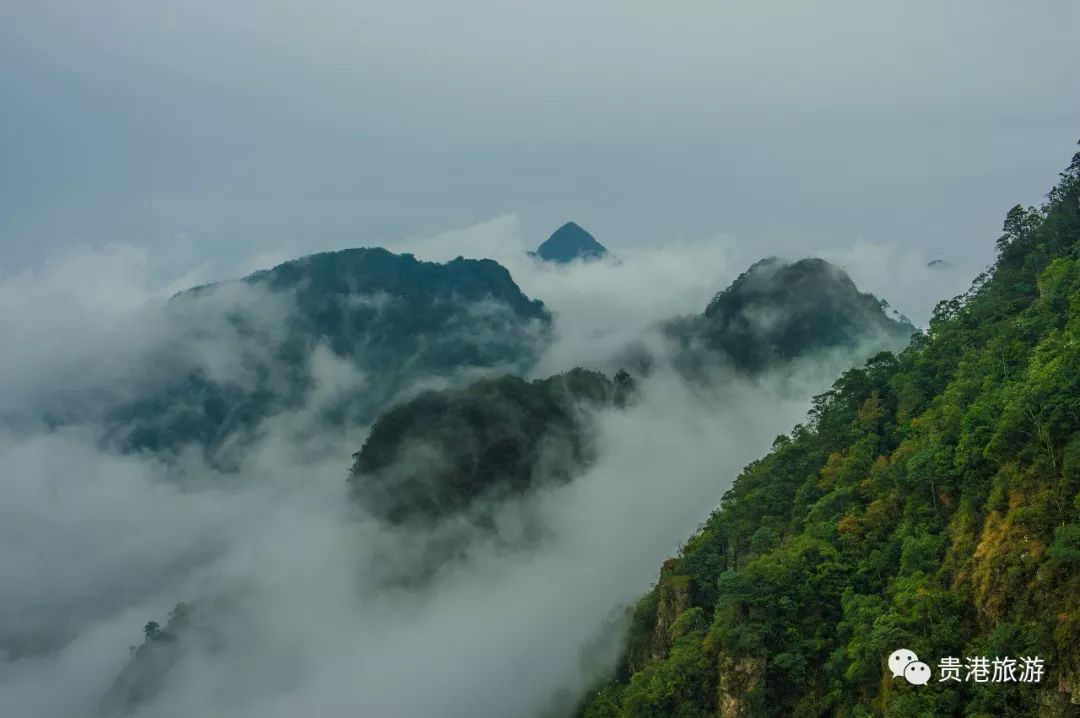 广西壮族三月三贵港特色,广西三月三撩人