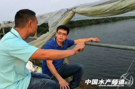 通威最新发布消息,通威降价对下游有什么影响