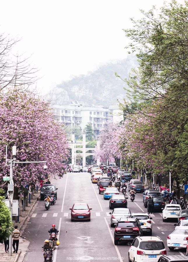 螺蛳粉征服世界,螺蛳粉征服全世界