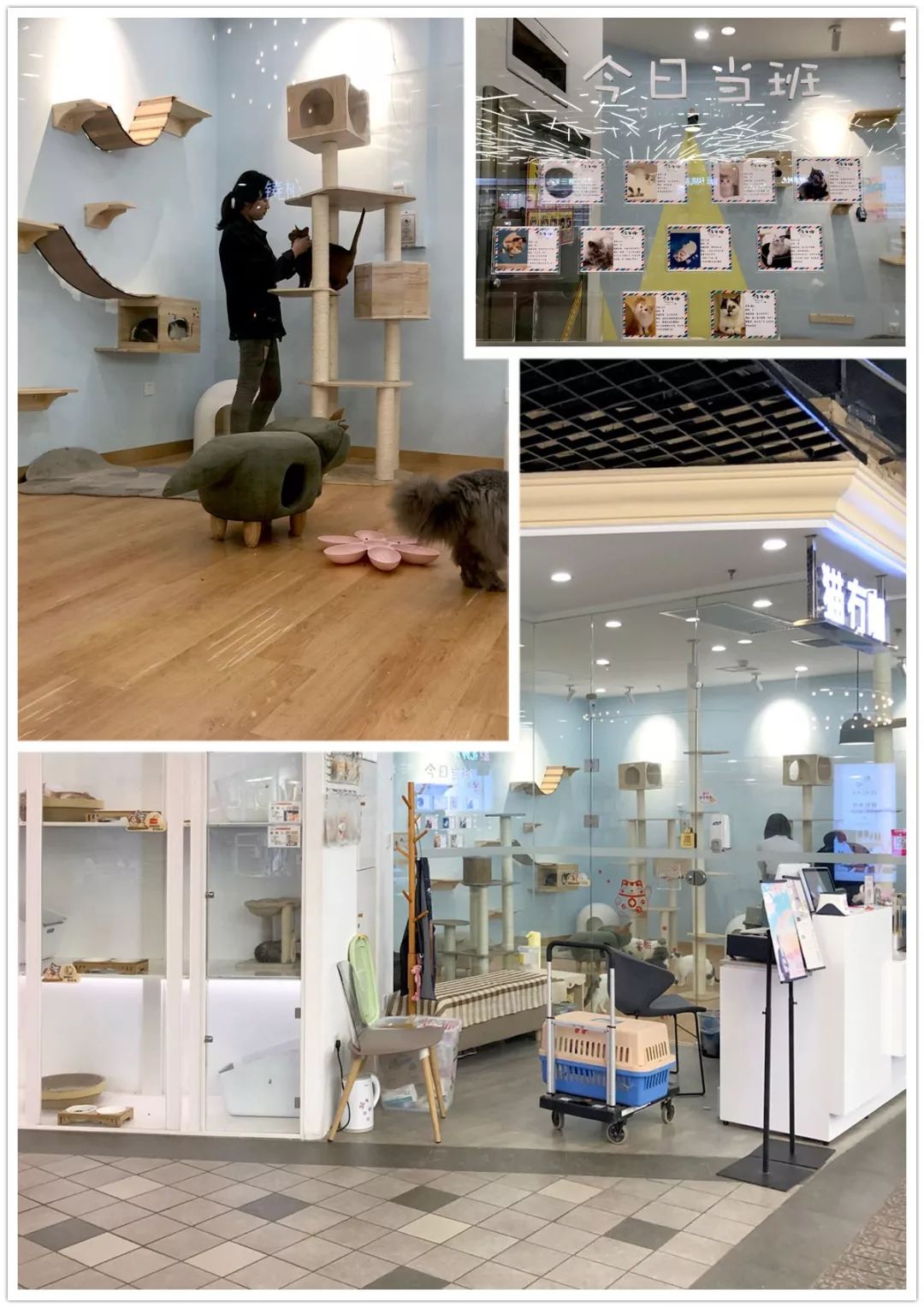 娇韵诗新年大促,娇韵诗年中大促销