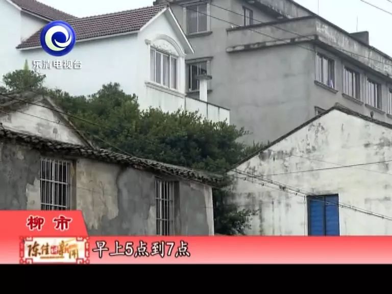 一群鸟一直鸣叫,小鸟半夜成群鸣叫怎么回事