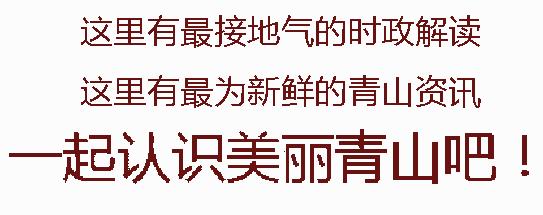 仪式感满满的开学仪式二年级,仪式感满满的开学仪式小班