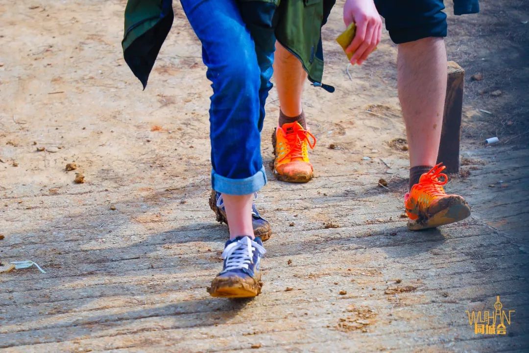 华中农业大学校园到底有多美,华中农业大学园艺林学院