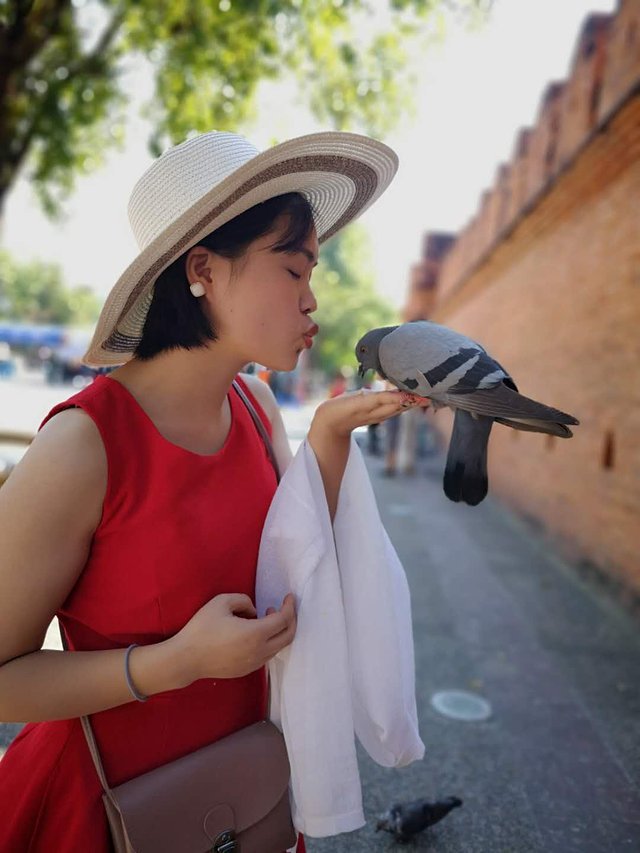 曼谷普吉岛7日自由行攻略,泰国曼谷清迈详细旅游攻略