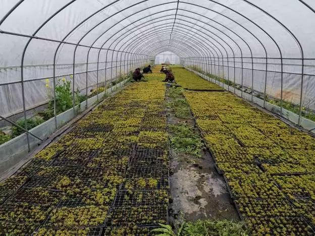 当富士山遇上巴黎铁塔,当雪山遇上好看的雪山