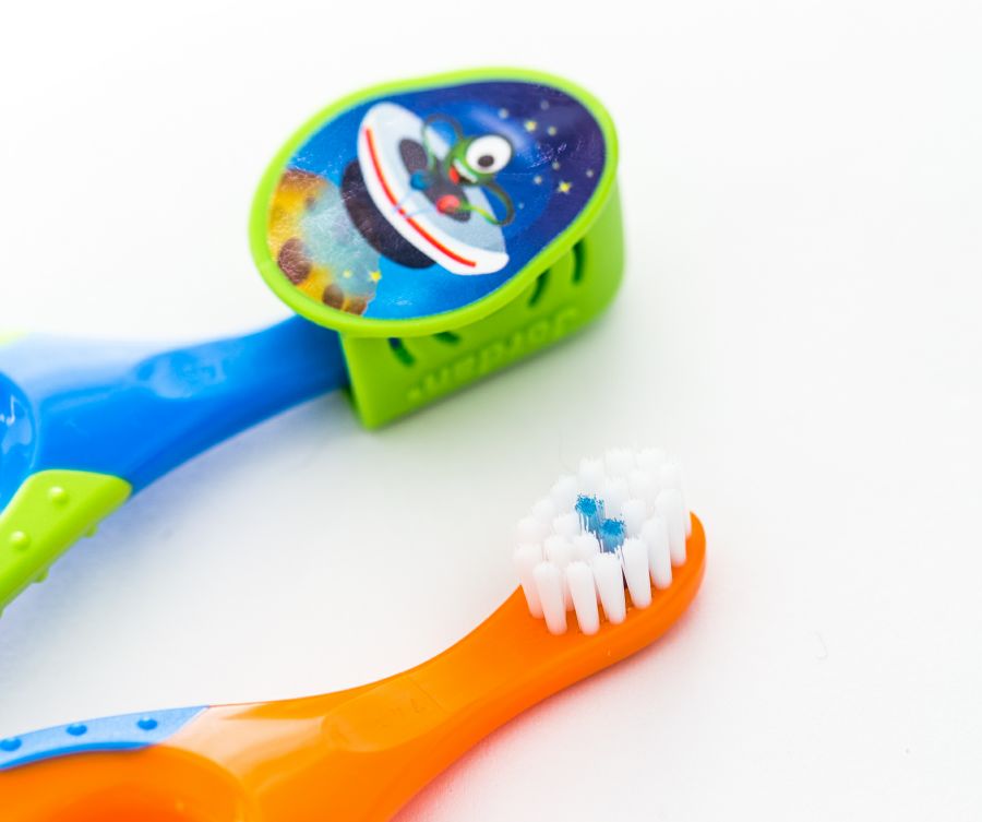 田野里的自然历史课链接,田野里的自然历史课畅享版全5册