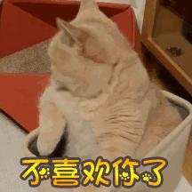 大牌美白精华测评,大牌美白精华总结