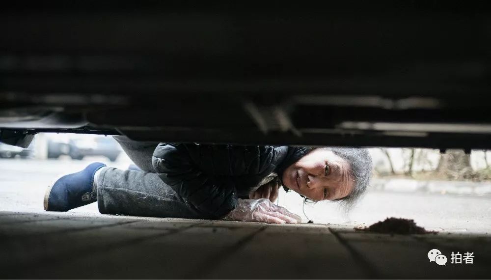 养40只流浪猫建新家,家里有18只流浪猫