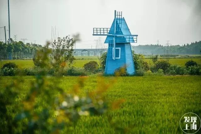 吵翻了！魔都16区终于正面PK！哪个是你心中的C位担当？