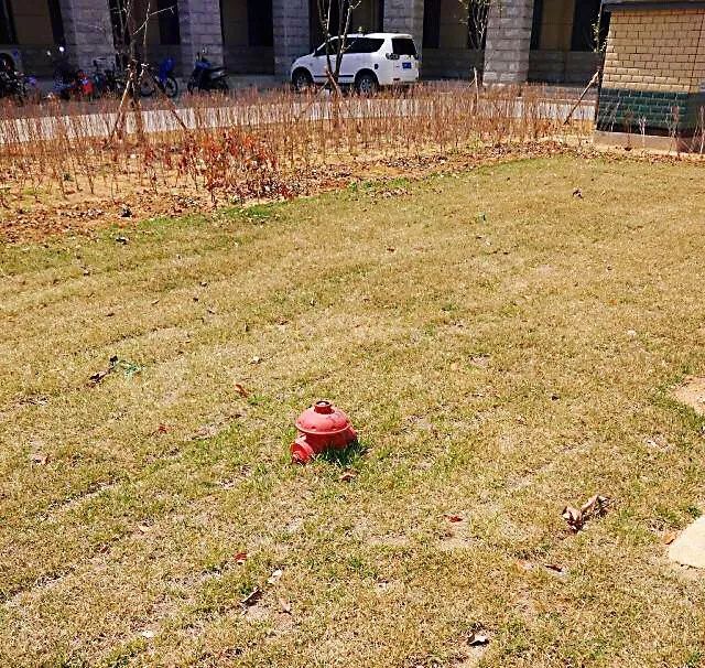 消防车赶到没有水,救火到达火灾现场后发现火势很大