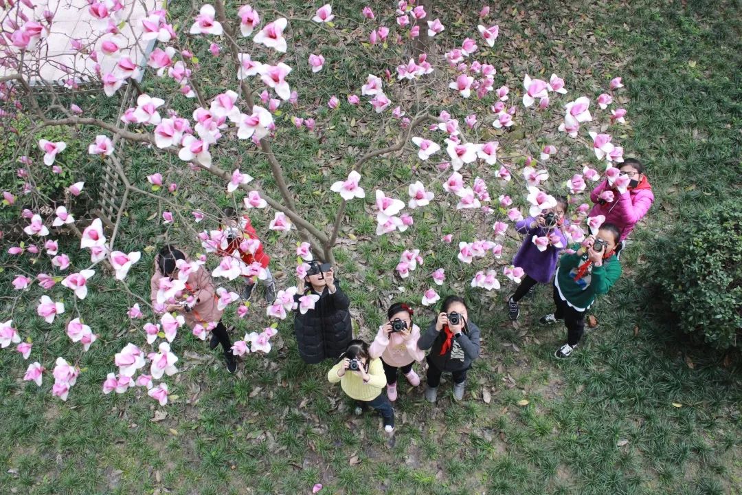 海量美图100张,海量高清美图