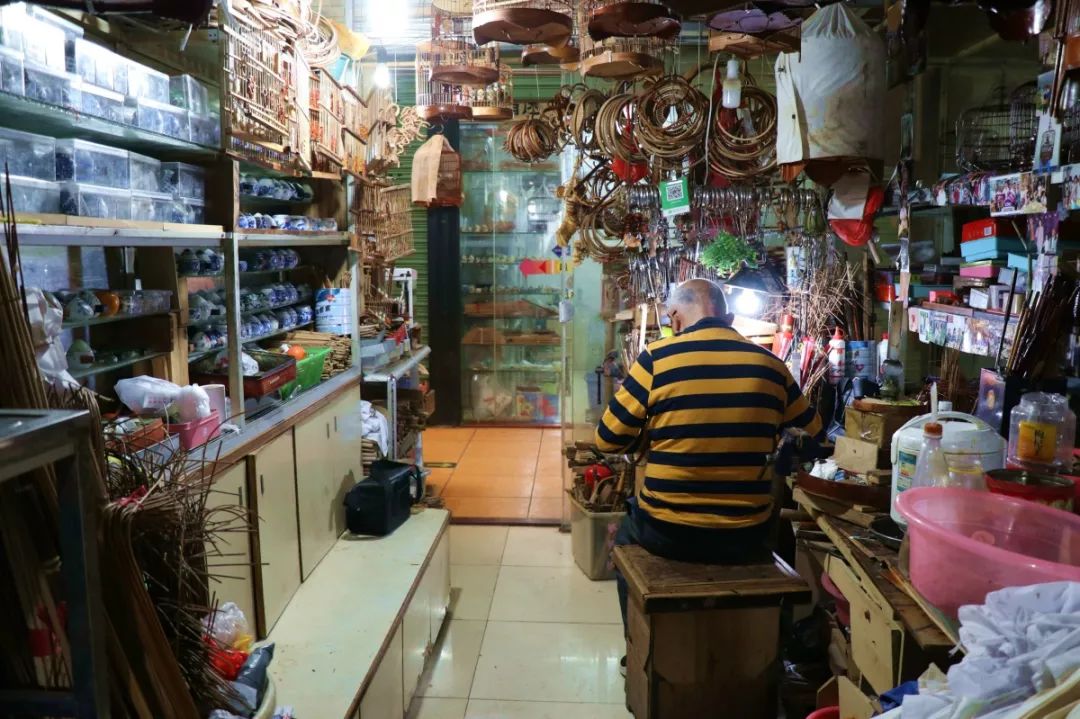 广州记忆鸟笼,一代人的广州记忆