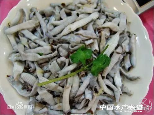 虾的养殖1亩利润有多少,虾价低迷