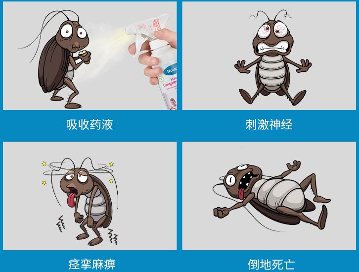 灭蟑螂的方法及药用价值,灭蟑螂最有效的7种天然驱蟑方法