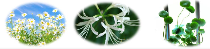 防晒1元秒杀,日本防晒爆款榜