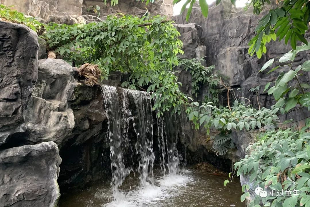 西安一个神奇的公园,西安市最值得去的免费公园景点