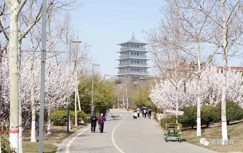 西安一个神奇的公园,西安市最值得去的免费公园景点
