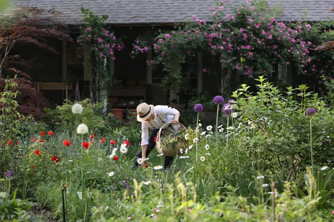 麻宁推荐|中国最时尚的未来花世界，拍照太出片了！