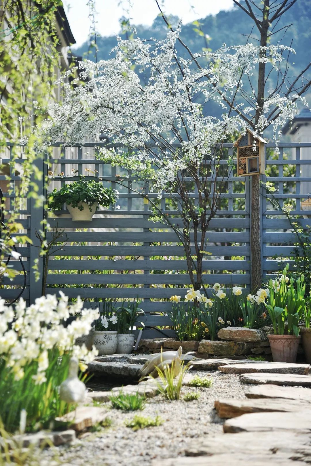 麻宁推荐|中国最时尚的未来花世界，拍照太出片了！