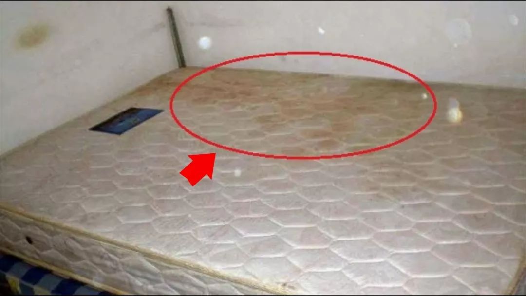 这9件事正在悄悄毁掉你的颈椎,这些习惯可能正在偷走你的健康