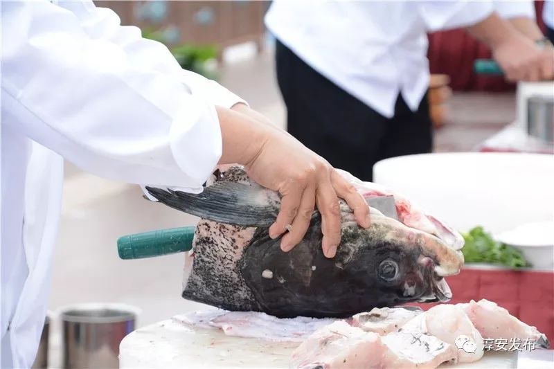 千岛湖鱼头比赛,千岛湖争霸赛