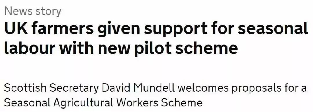 如何申请英国打工签,英国农民工作签证要求