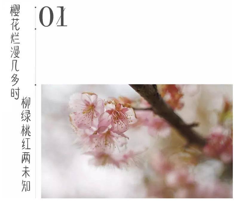 都挺好苏州取景地打卡,都挺好打卡苏州