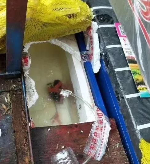 姣旀瘨铔囪繕姣掔殑缇庨,姣旀瘨铔囪繕姣掔殑涓滆タ