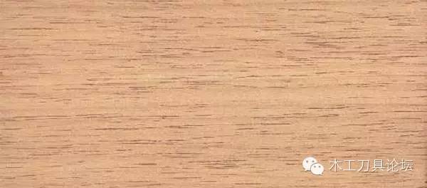 识别木材优劣家居人必备基本功,木材识别基础知识